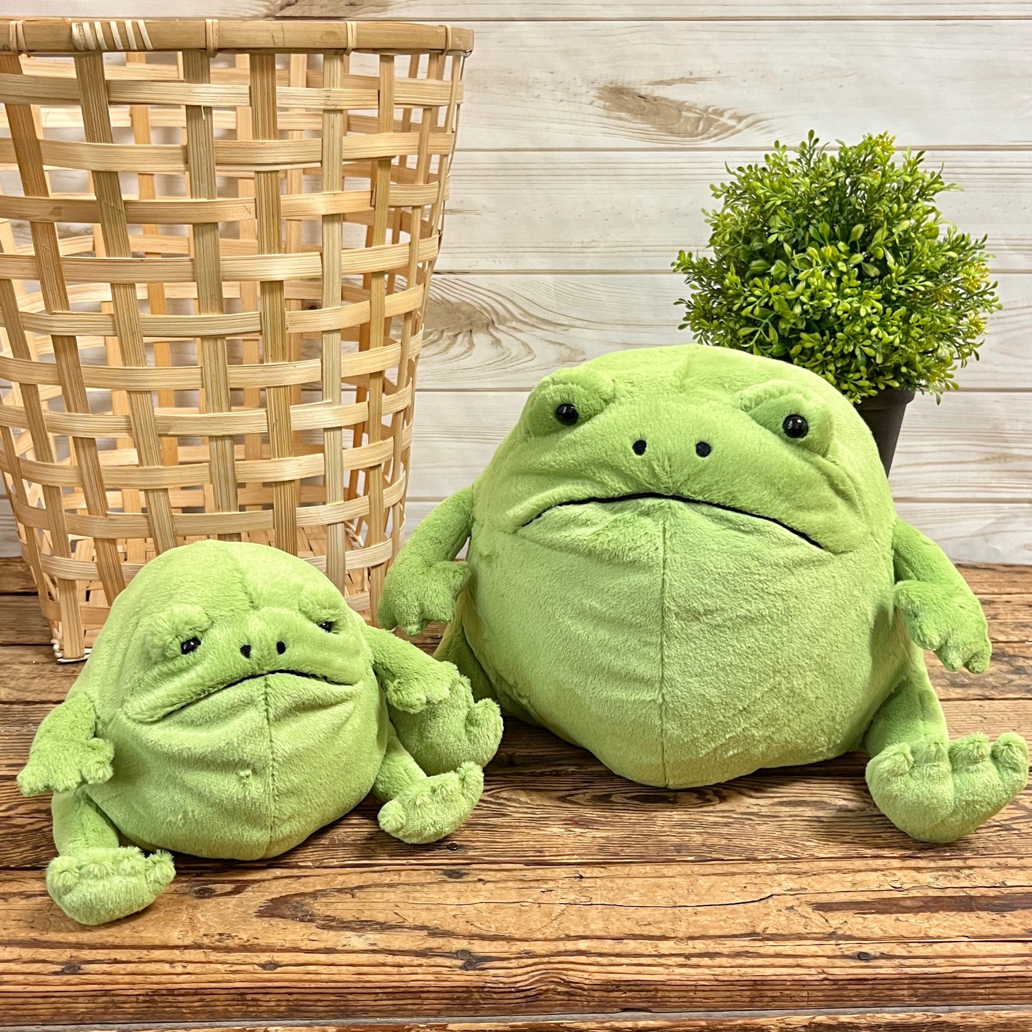 Jellycat Wild Thing Frog - 3 inch - Wild Thing Frog . Buy Frog
