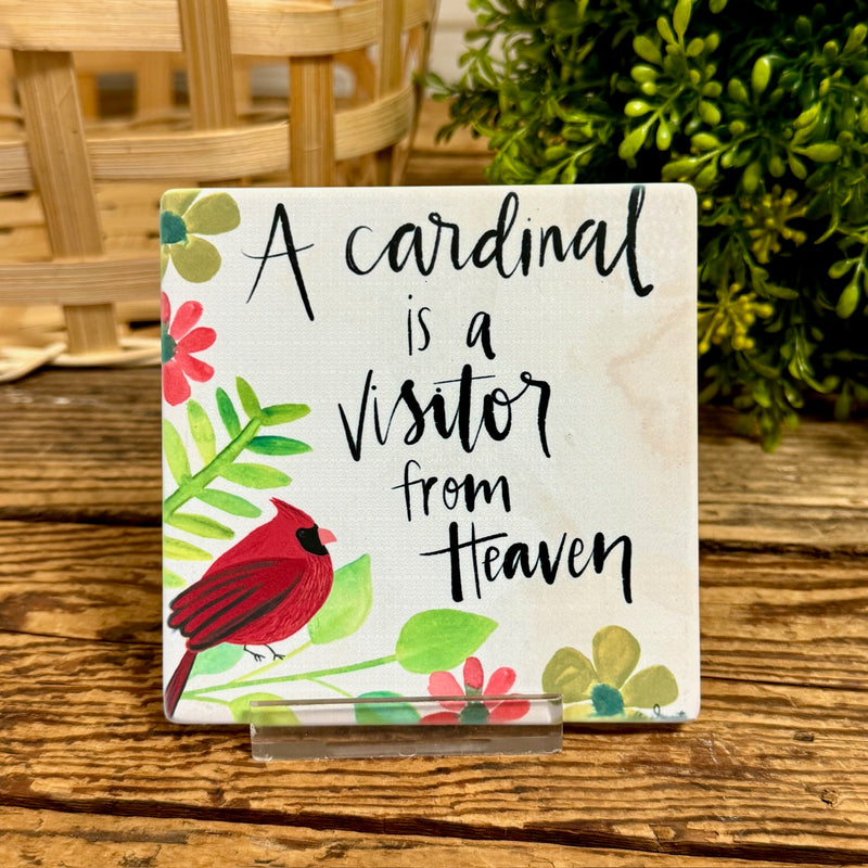 Visitor From Heaven Coaster