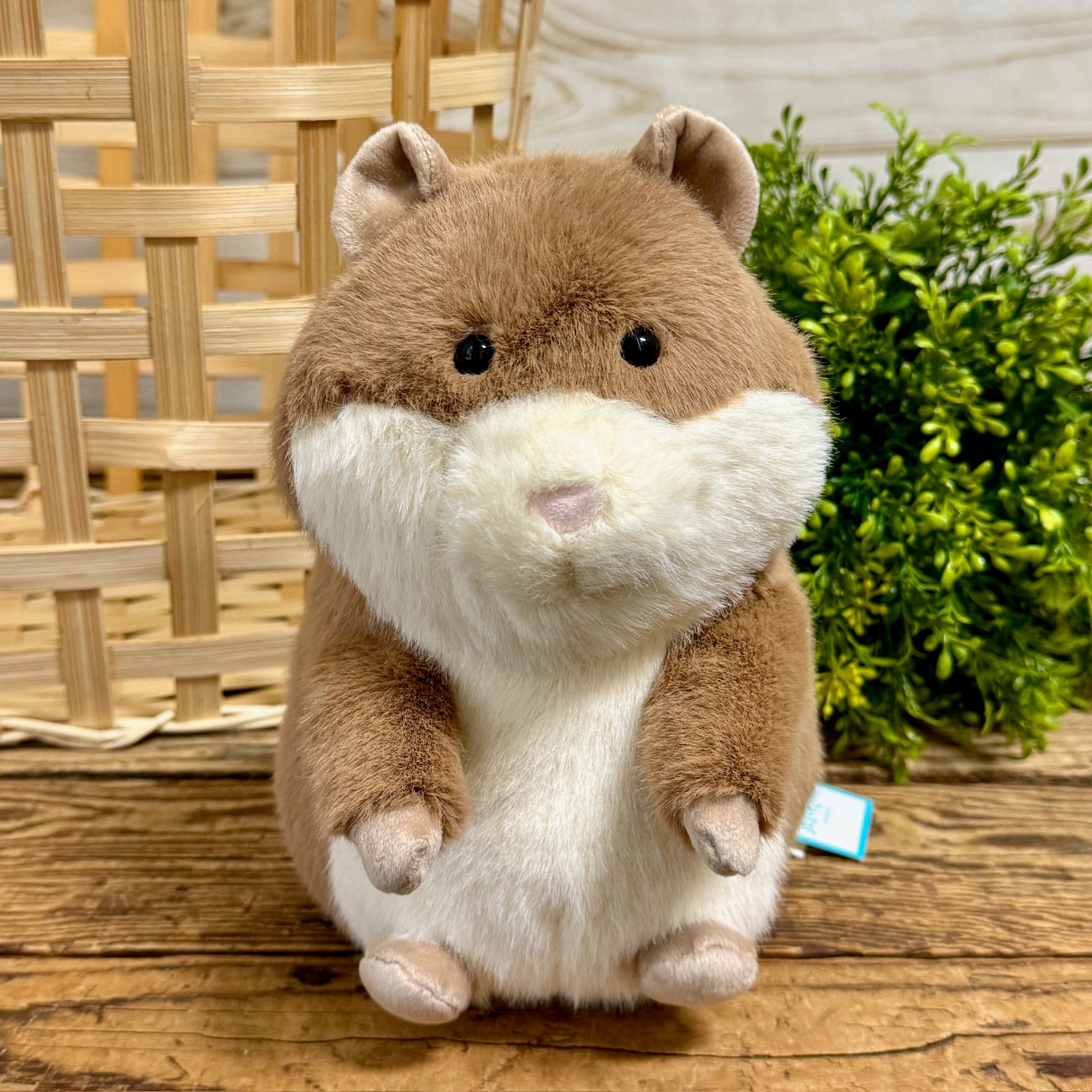 Gordy Guinea Pig Jellycat – Apothecary Gift Shop