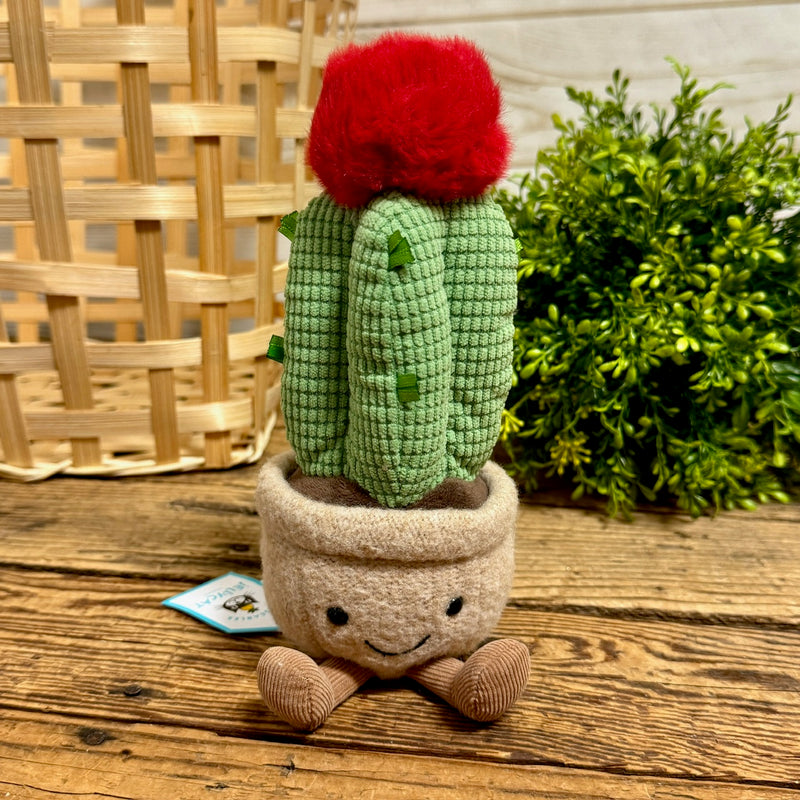Amusable Moon Cactus Jellycat