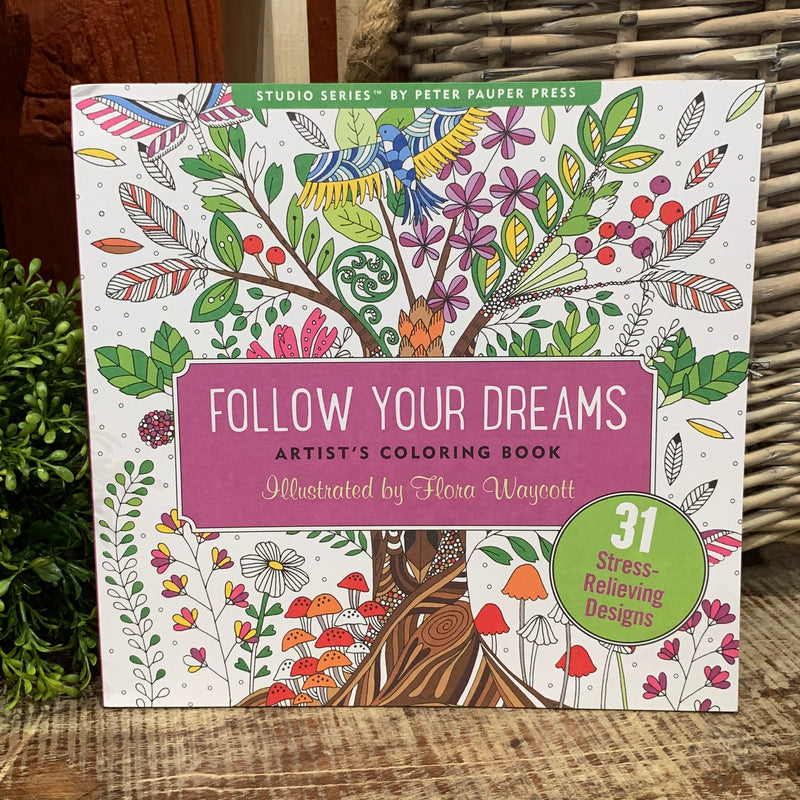 Follow Your Dreams Coloring Book