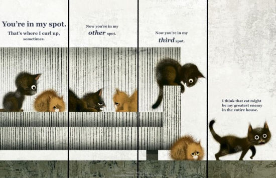 Cat Problems Book