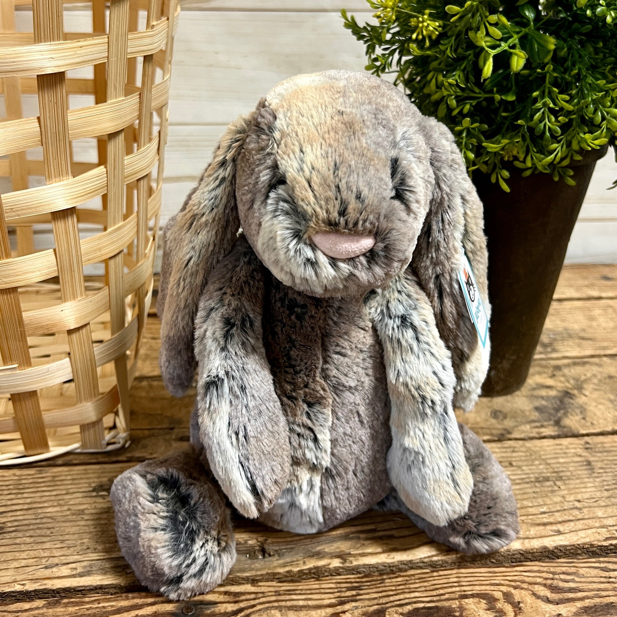 ジェリーキャット　ウッドランドバニー Woodland Babe Bunny Jellycat – Apothecary Gift Shop