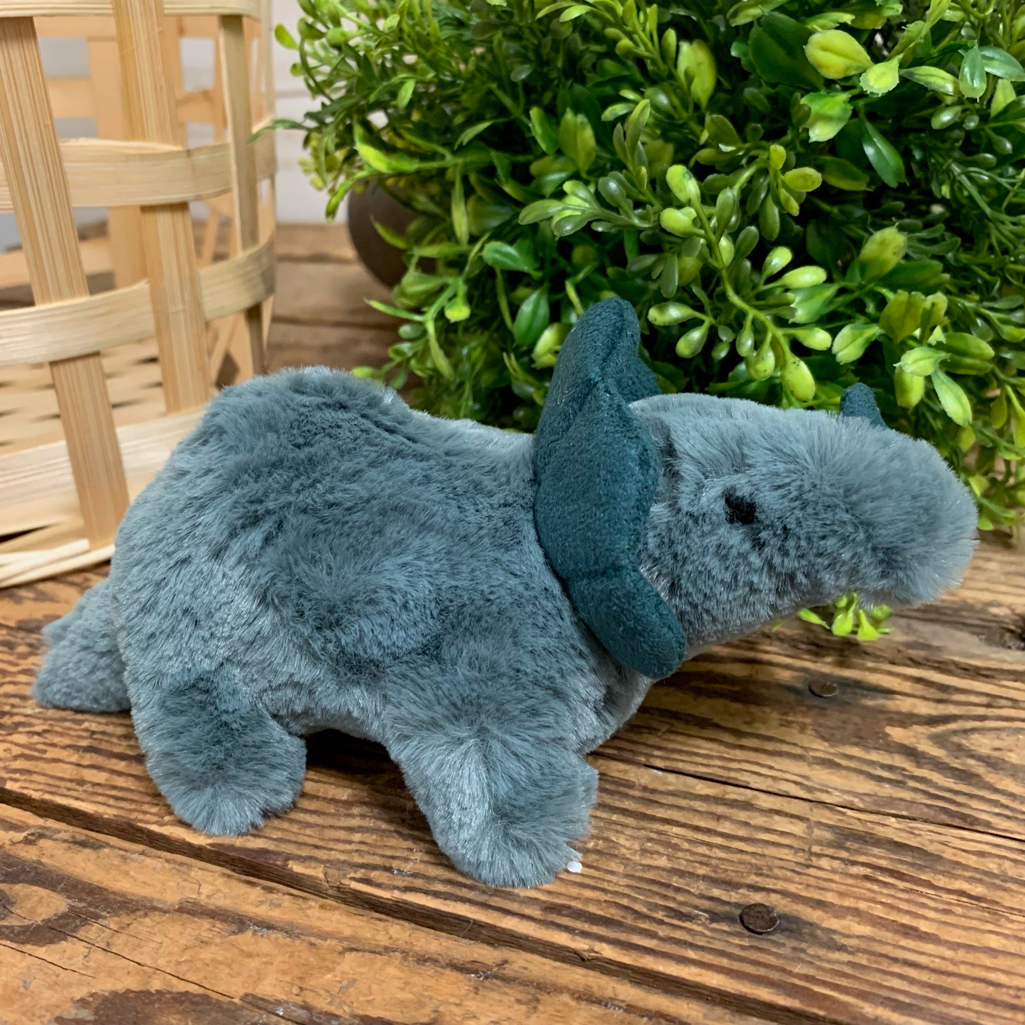 Fossilly Triceratops Jellycat – Apothecary Gift Shop