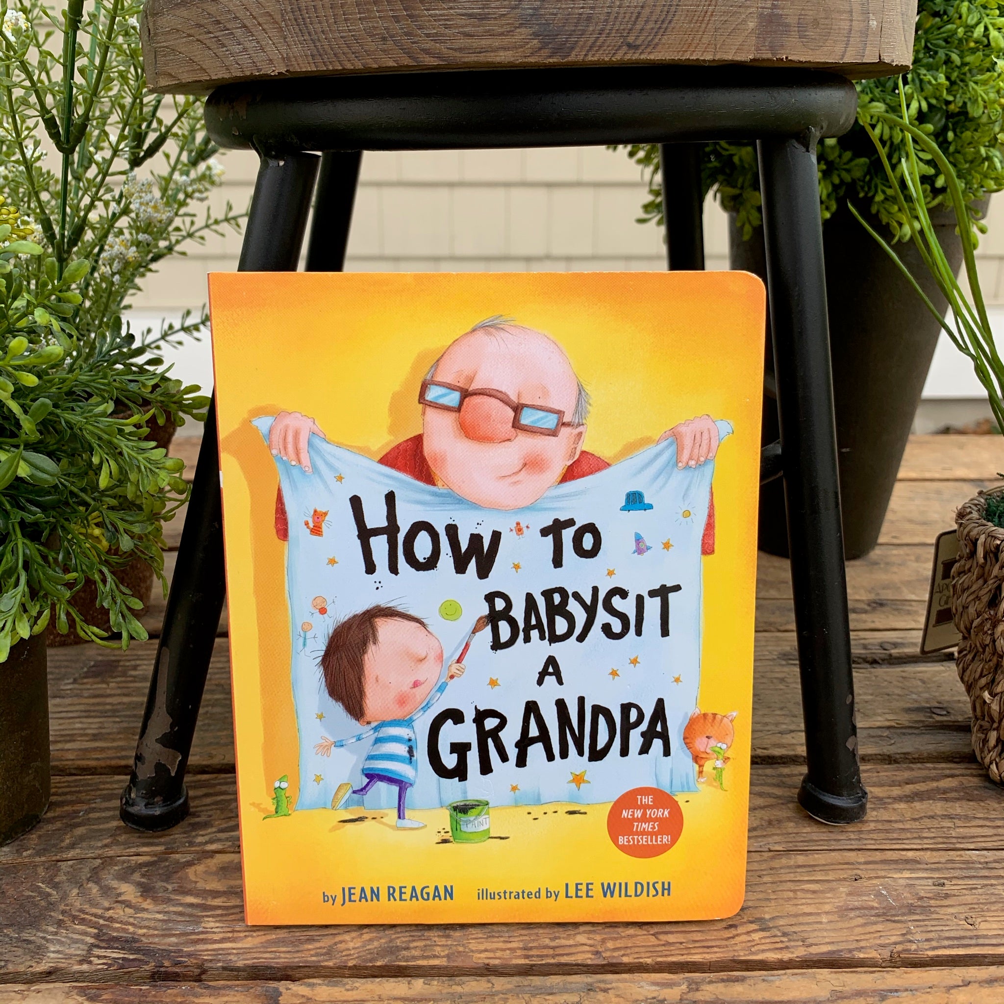 How to Babysit a Grandma by Jean Reagan, Lee Wildish, Hardcover