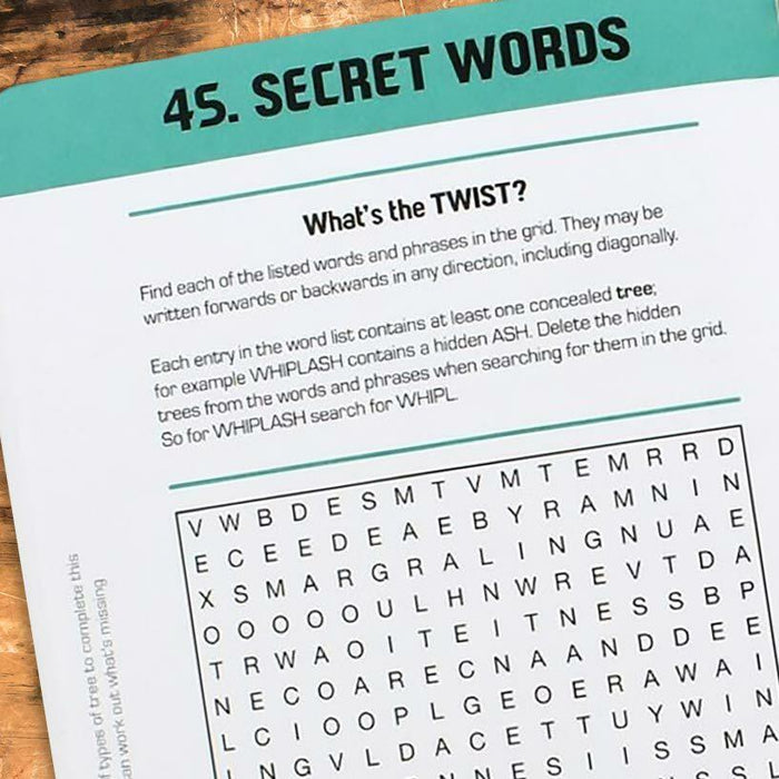 Twisted Word Search Book