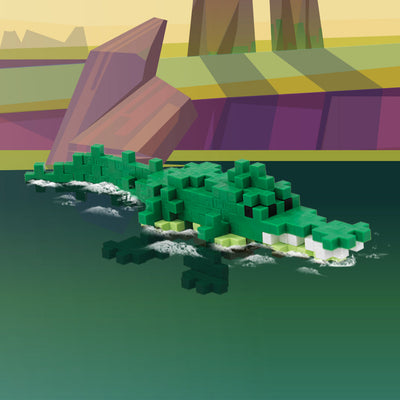 Plus Plus Blocks