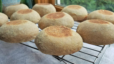 Sourdough Starter Kits
