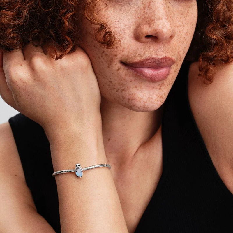 Silver Seal Pandora Charm