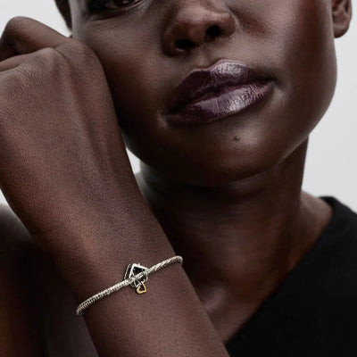 Home & Heart Silver and Gold Pandora Charm