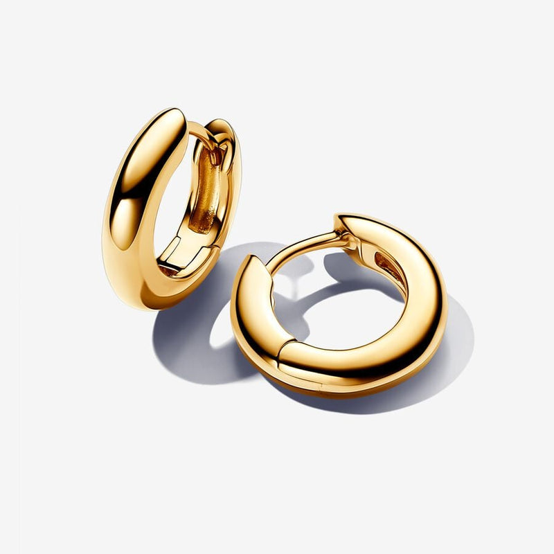 Round Hoop 14k Gold Plated Pandora Earrings