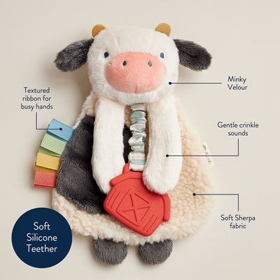 Itzy Ritzy Plush Lovey with Textured Teethers