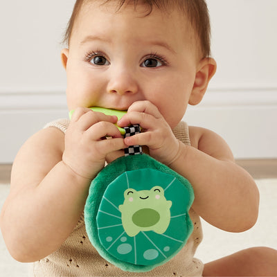 Sweetie Crinkle Teethers