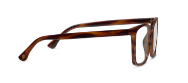 Peepers Eyeglass Bronco in Tortoise Horn