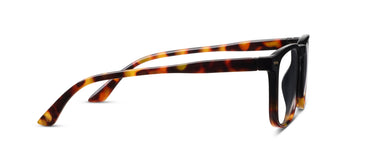 Peepers Domino Eyeglasses in Black Tortoise