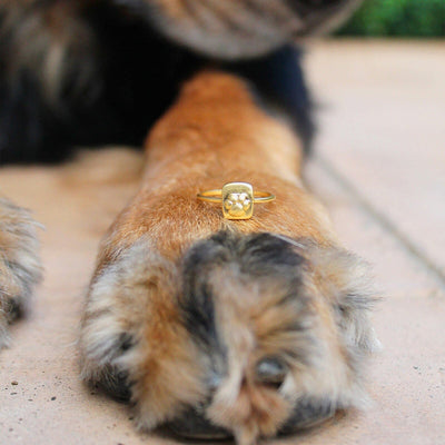 Paw Pura Vida Ring