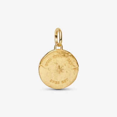 Swallow Medallion Pandora Charm