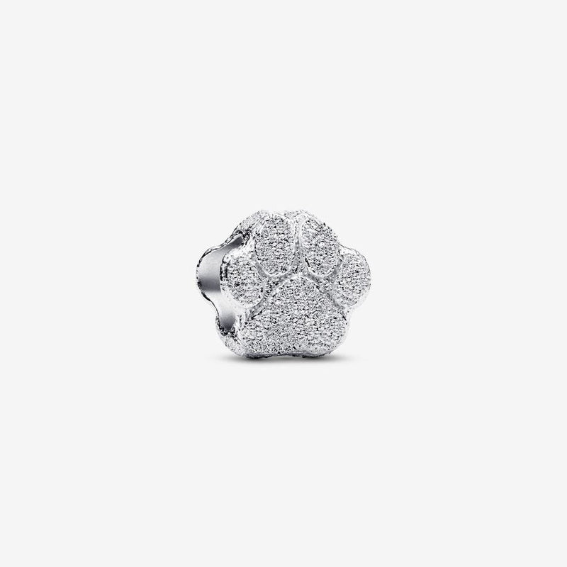 Mini Textured Silver Paw Pandora Charm