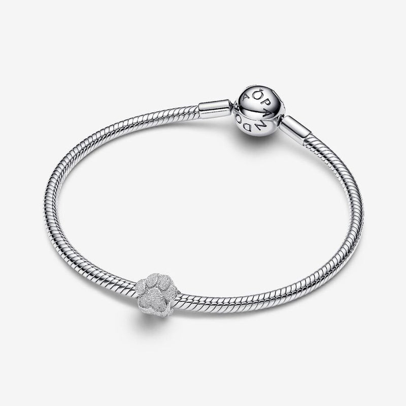 Mini Textured Silver Paw Pandora Charm