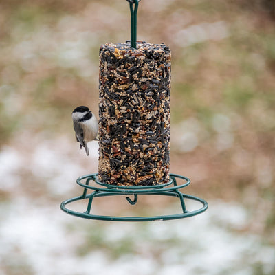 Birdseed Cylinder