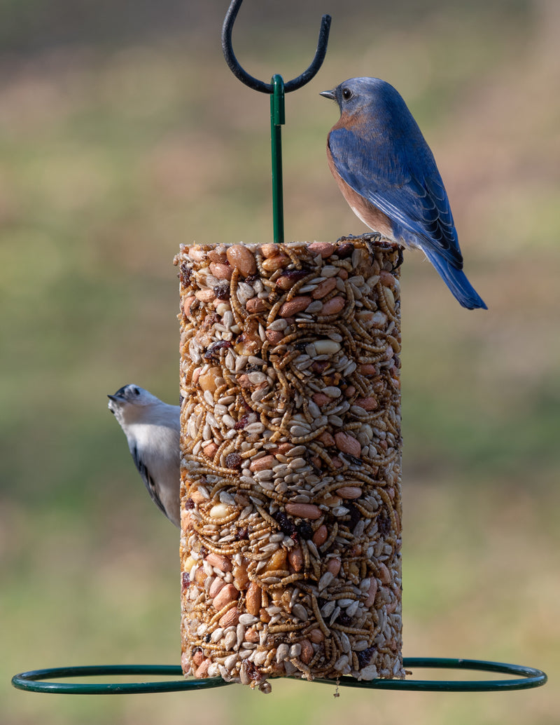 Birdseed Cylinder