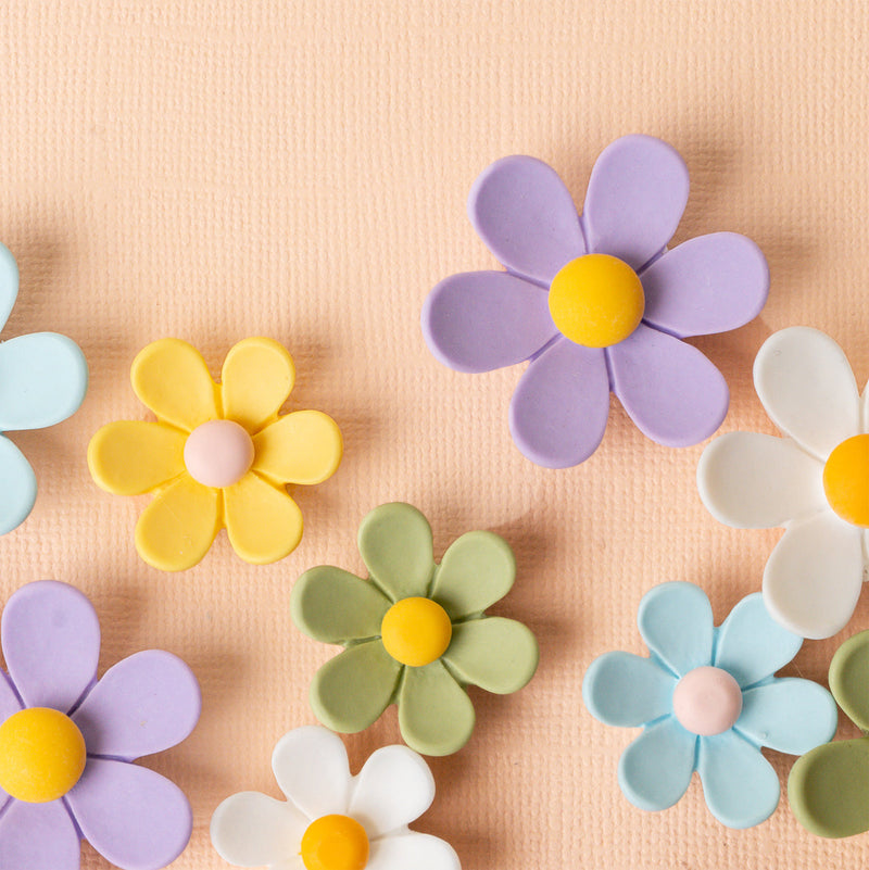 Daisy Magnet Sets