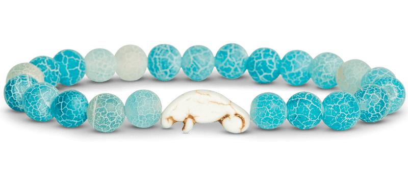 Fahlo Animal Tracking Bracelets