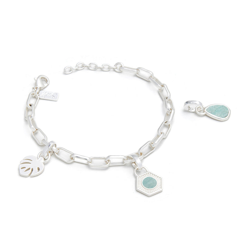 Interchangeable Charm Bracelets