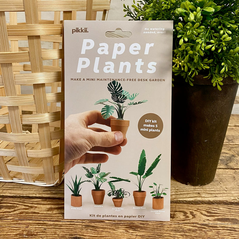house plant kit gift DIY Paper Plants Kit – Apothecary Gift Shop