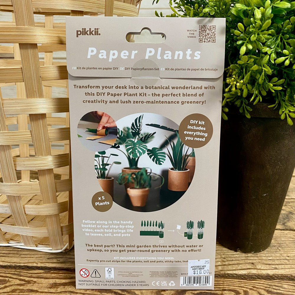 indoor plant kit gift DIY Paper Plants Kit – Apothecary Gift Shop