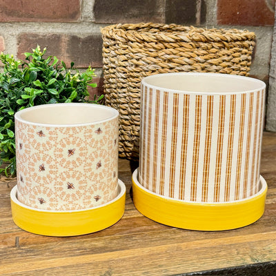 Stone Bumble Bee Striped Planters with Plates