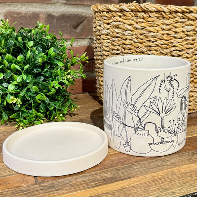 Plant Lady Pot with Tray