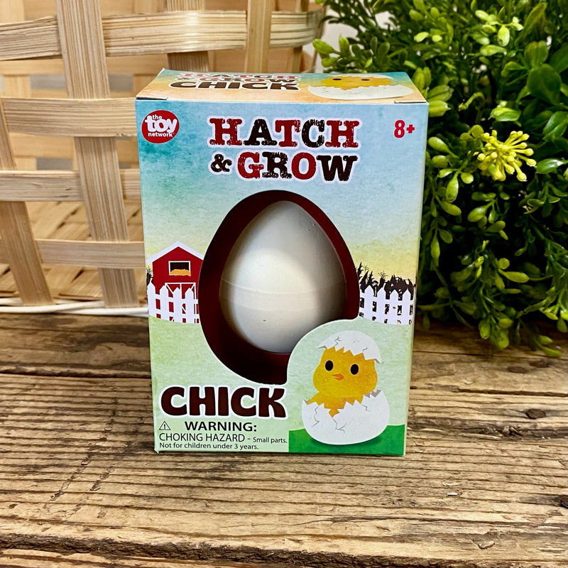 Hatch and Grow A Chick