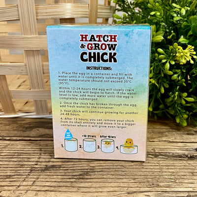 Hatch and Grow A Chick