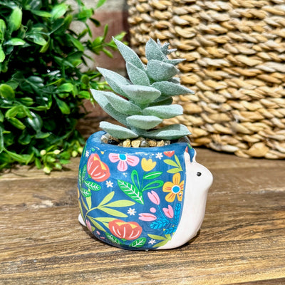 Shaped Succulent Pots