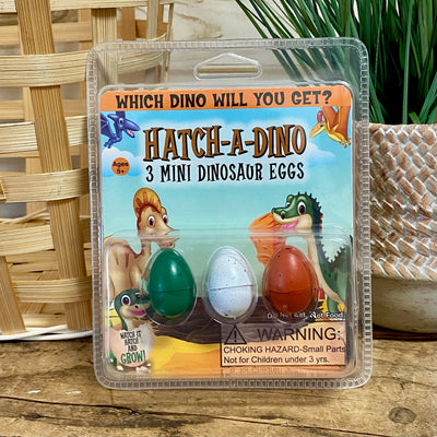 Hatch Mini Dinosaur Eggs