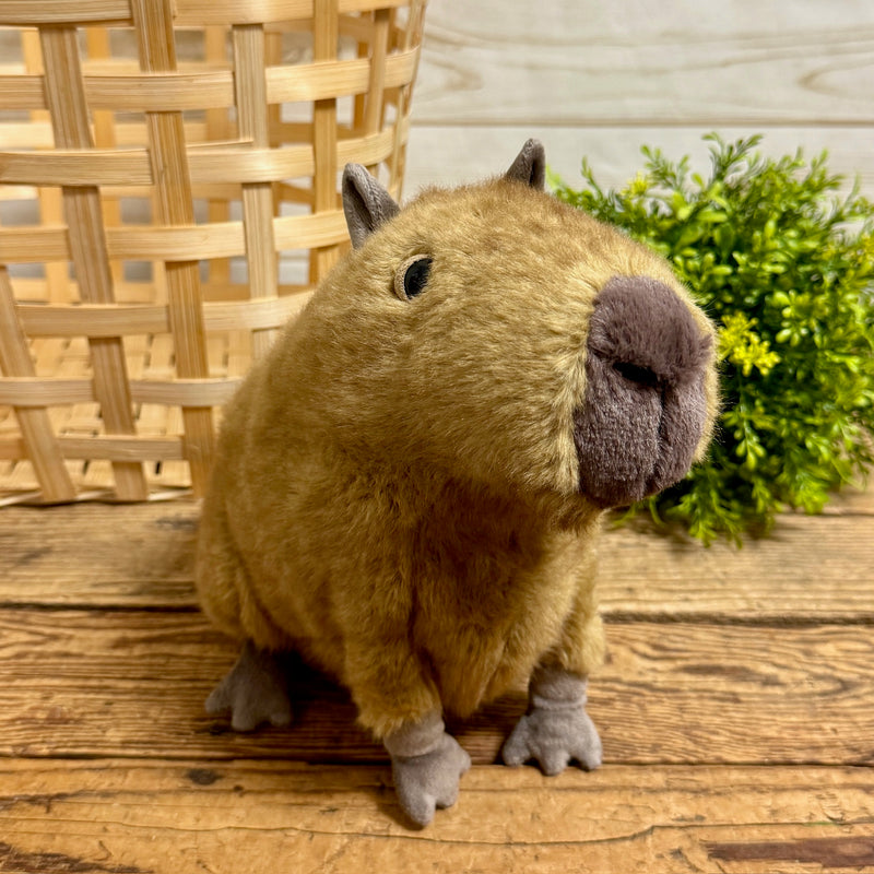 Clyde Capybara Jellycat