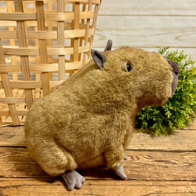 Clyde Capybara Jellycat