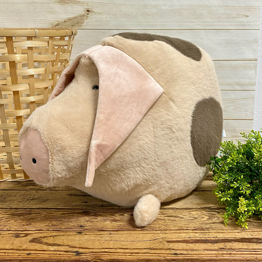 IMG_1451_1024x1024.jpg?v=