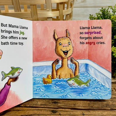 Learning with Llama Llama Feelings Book