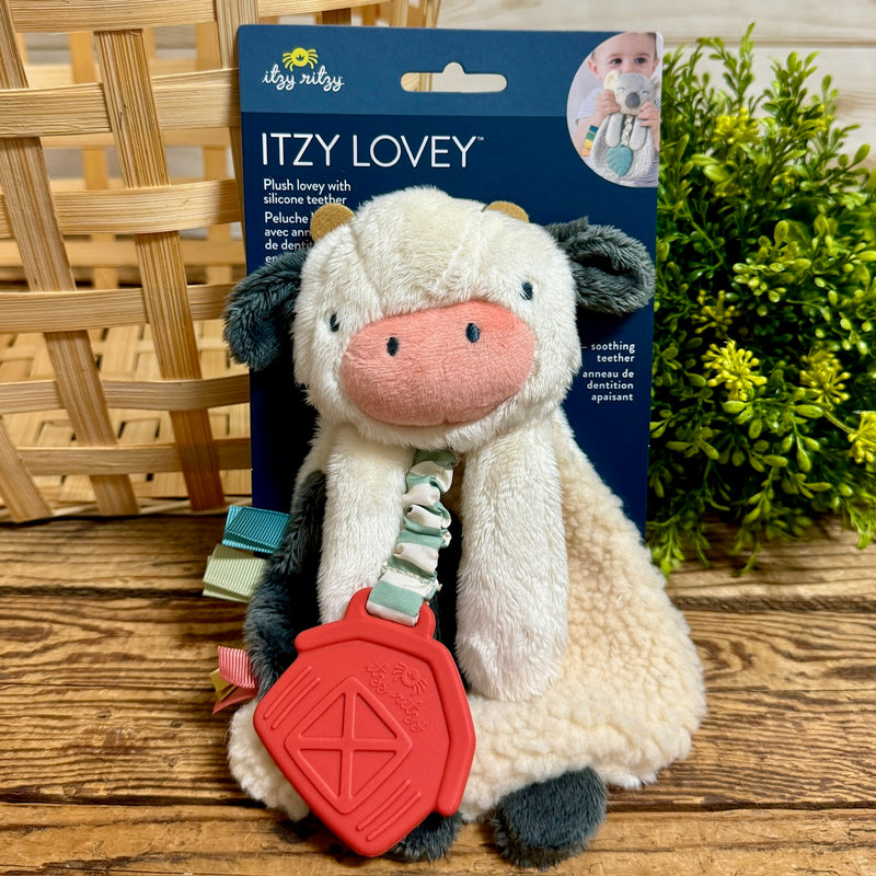 Itzy Ritzy Plush Lovey with Textured Teethers