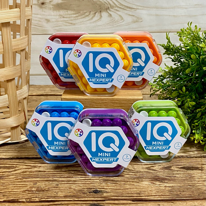 IQ Mini Hexperts Brain Teaser Puzzles