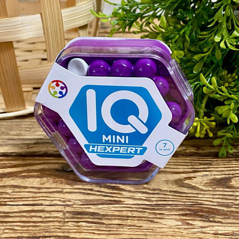IQ Mini Hexperts Brain Teaser Puzzles