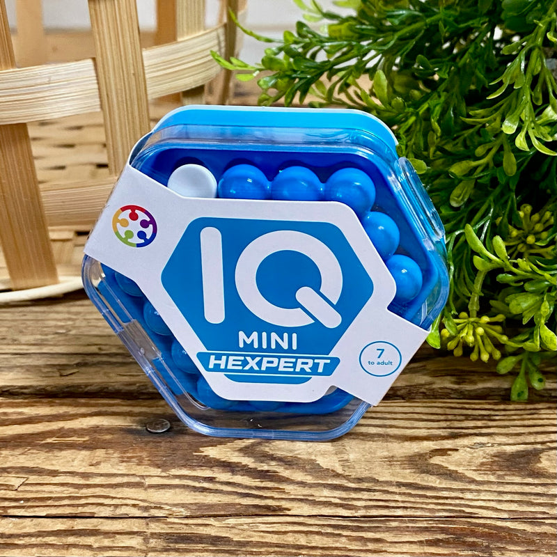 IQ Mini Hexperts Brain Teaser Puzzles