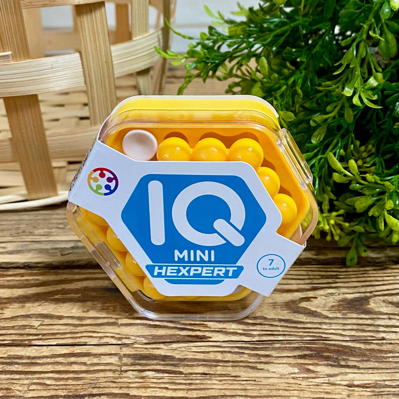IQ Mini Hexperts Brain Teaser Puzzles