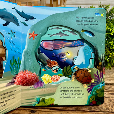 What to See Under the Sea Book