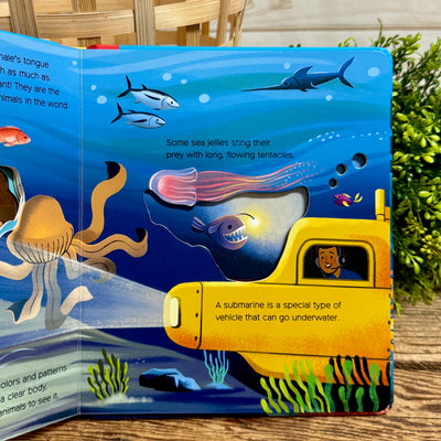 What to See Under the Sea Book