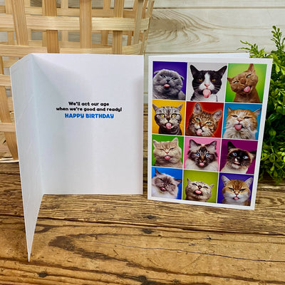 Silly Cat Birthday Card