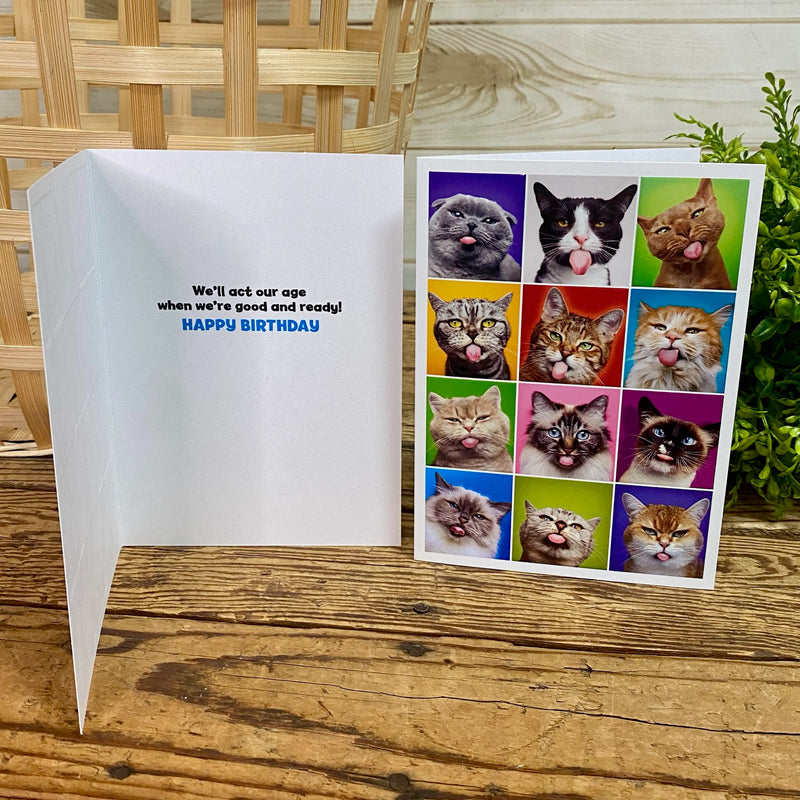 Silly Cat Birthday Card