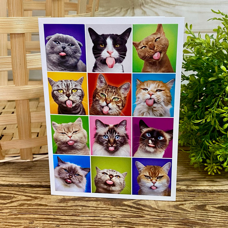 Silly Cat Birthday Card